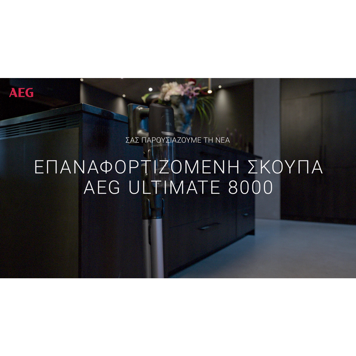 AEG - Σκούπα stick χωρίς καλώδιο - AP81UB25GG